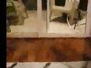 Married Pussy Feels So Good BBC Fuck