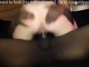 Black dancer fucks interracial wife