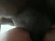 BBC cock shared by busty MILF and hot Wife