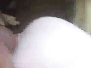 blonde southern wife gets breeded by bbc as husband films