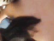 Black guy buttfucking my wife in her purple panties