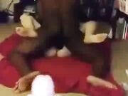 Homemade Hot White Girl Gets Painful Anal Sex From Big Cock