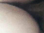 Sexy wife in pigtails sucking bbc