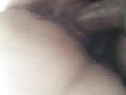 Sexy wife in pigtails sucking bbc