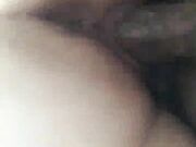 Sexy wife in pigtails sucking bbc