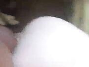 Submissive Wife the Bed Free Hardcore Porn