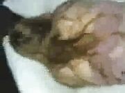 Let your husband hear you get fucked