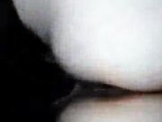 Watching My Amateur Wife Getting Fucked Again With A Creampie