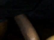 Black Stallion Makes Her Pussy Squirt - Homemade