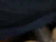 Black Stallion Makes Her Pussy Squirt - Homemade