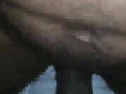 Shared Wife Kate Takes BBC Black Bull Creampie