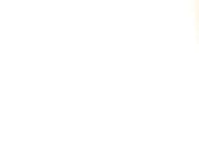 Japanese chick and a BBC doggystyle