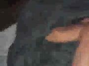 Pornstar Wife Squirts Then Gets BBC Cock in Her Cunt