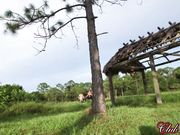 ClubDom - Callie Nicole, Charley Hart - Cruel Women, Crueler Games and Fuck Puppets