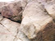 Ocean Masturbate & Oral on 17 Mi Dr - Delilah Cass