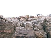 Ocean Masturbate & Oral on 17 Mi Dr - Delilah Cass