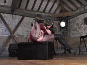 Misshybrid - Workman Bonus