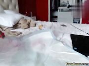 Busty Babe masturbating on cam