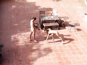 Public Courtyard Blowjob and Fucking with a Hot Brunette Amateur Couple