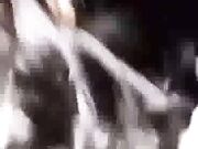 Andrea Fucked By Massive BBC