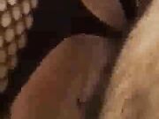 Young Sexy Ebony gets creamy on BBC doggystyle