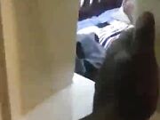 I miss the male to my step mom and I had to fuck her