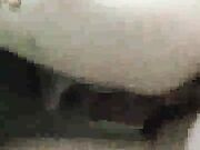 My wife agrees to fuck not brother cause I lost a bet to him