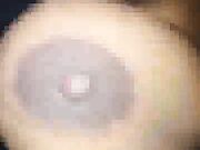 blonde southern wife gets breeded by bbc as husband films