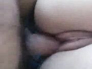 Hot wife fucked in the ass by bbc while sucking bf