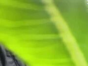 Russian Brunette Takes 25cm Dick in POV Blowjob Compilation