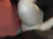 A black with a big cock fucks my white wife