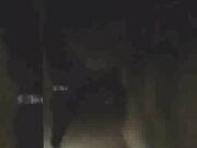 Swinger Cuckold MILF Gets Punished By Shane Diesel's Monster