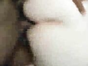 Cuckolding Wife Fucks Black Guy & Films it for Hubby