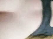 Sexy wife in lingerie gets fucked by BBC while sucking hubby