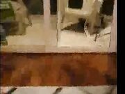 Cheating wife bitch bangs with her husbands young son