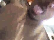 Fucking and playing with my wifes creamy pussy