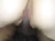 Beautiful Horny Wife Fucking In Black Stockings