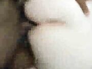 Cuckold husband watches his wife get creampied by bbc