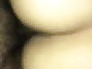 Wife has b. orgasm with black bull while husband watches