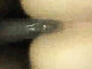 Wife has b. orgasm with black bull while husband watches