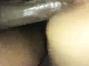 Wife has b. orgasm with black bull while husband watches