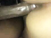 Wife has b. orgasm with black bull while husband watches