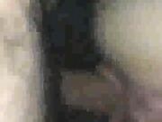 cuckold wife gets bred by bbc for hubby's enjoyment