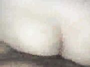 cuckold wife gets bred by bbc for hubby's enjoyment