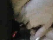 Cuckold watching and recording his wife having sex with BBC