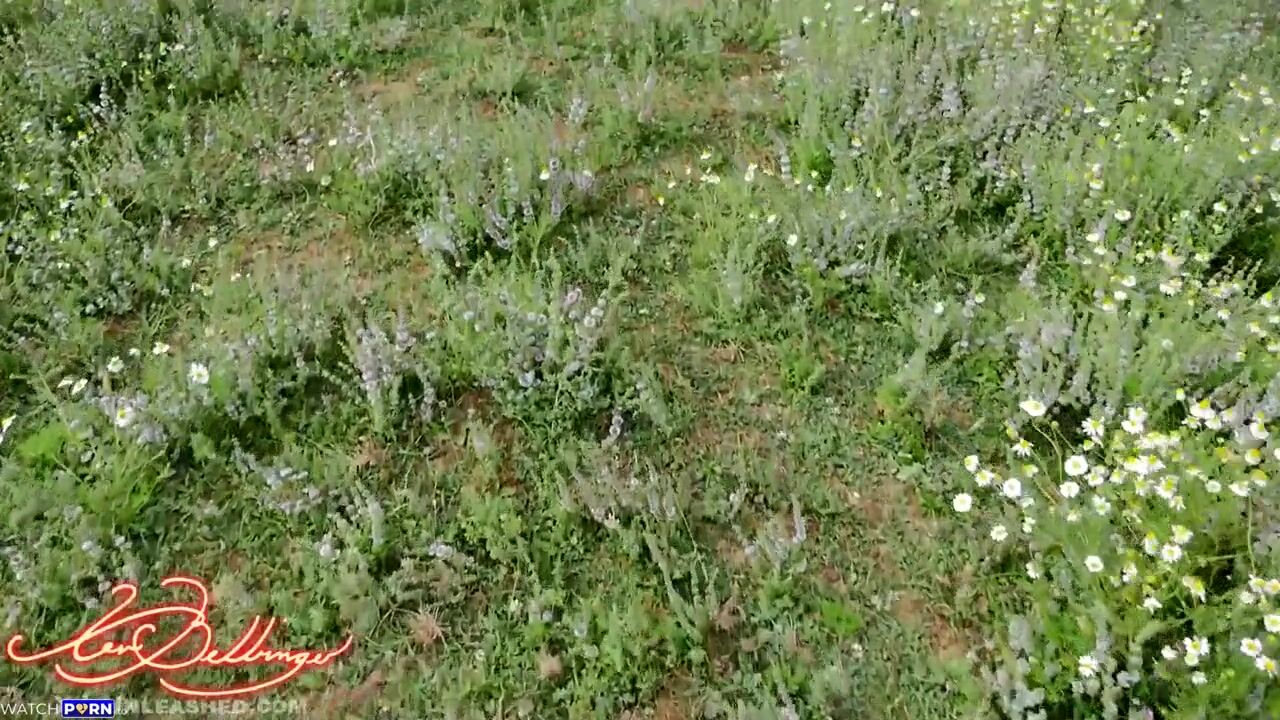 Xev Bellringer - Genie Enslaves You