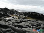 Fucking a Perfect Ass on the Beach - Amateur POV Handjob