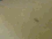 A black with a big cock fucks my white wife