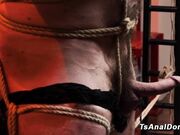 TS Mistress Alexa Dominates Muscular