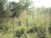 FionaMommy - Mommy's Summer Secret